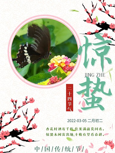 惊蛰摄影图节日节气海报