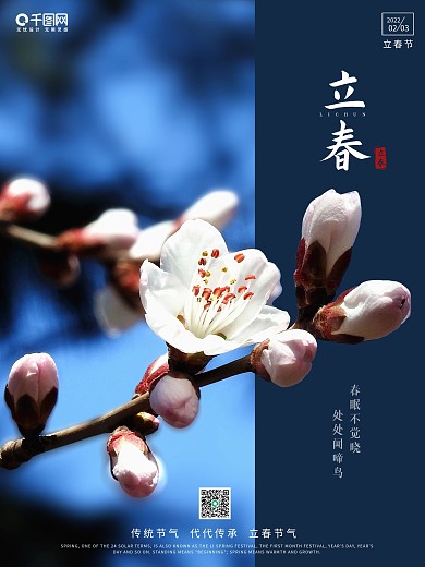 二十四节气简约立春节气海报梅花春天