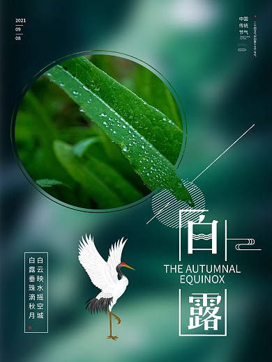二十四节气 白露 传统节气 海报