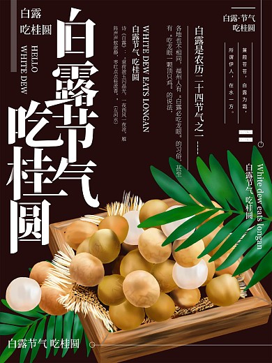 原创插画白露吃桂圆节气海报