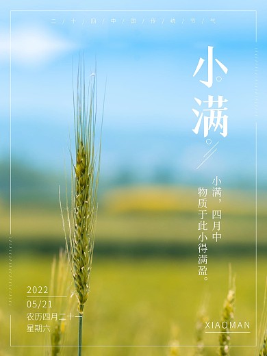 中国传统节日二十四节气小满宣传海报