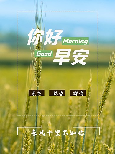田野水稻清新海报
