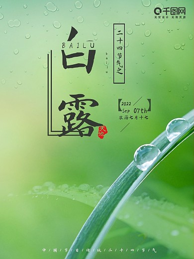 清新雨露白露二十四节气商业海报设计
