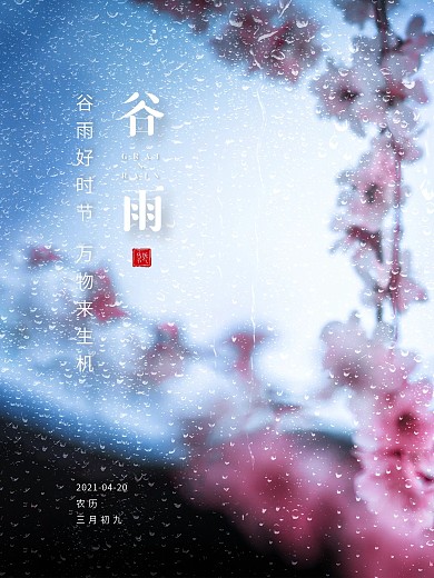 谷雨简约春天桃花雨水传统二十四节气海报