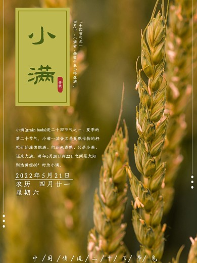 小满海报小麦节气传统二十四节气