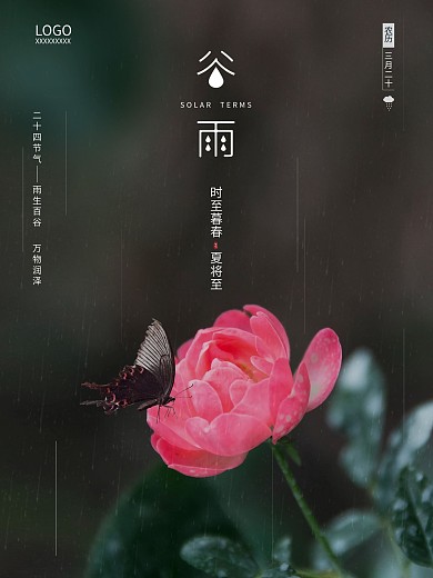 简约二十四节气谷雨雨水惊蛰蔷薇花简约海报