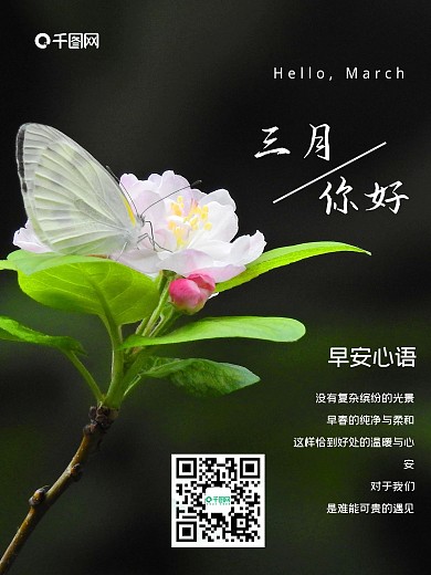 你好三月早春春天花朵绽放早安日签海报