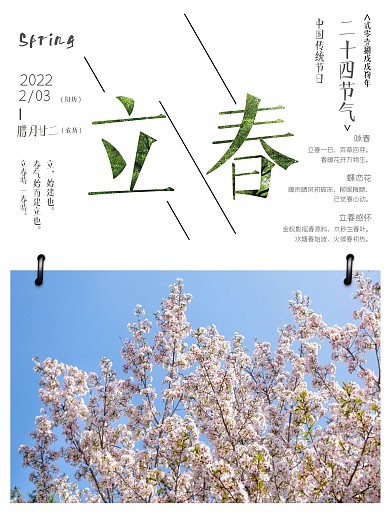 立春海报春天节日二十四节气樱花春天春季