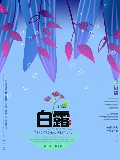 紫色调简洁白露海报