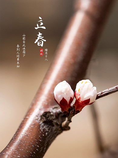 立春平面摄影海报