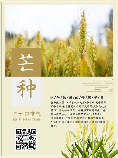 芒种小麦二十四节气