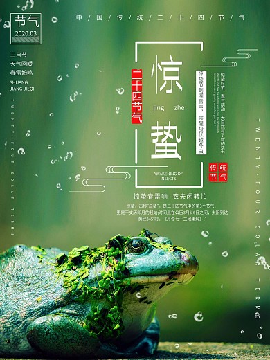 大气简约惊蛰24节气海报