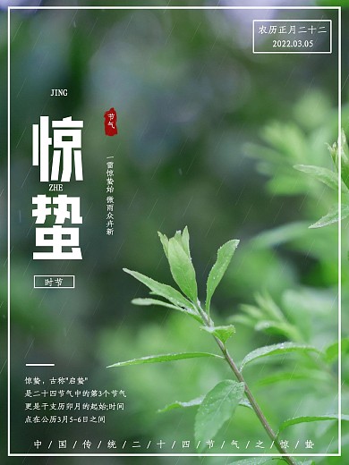 二十四节气惊蛰绿色清爽简约朋友圈宣传海报
