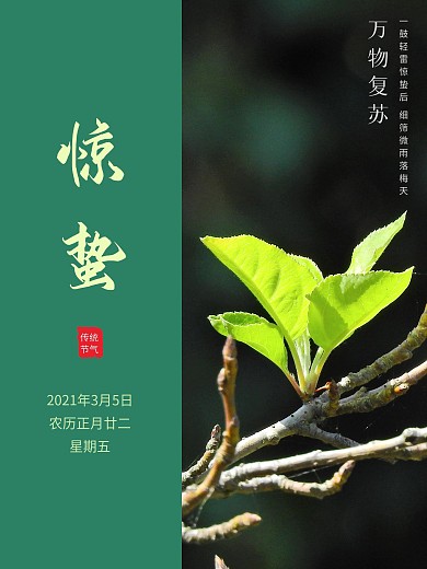 清新绿色极简风惊蛰海报