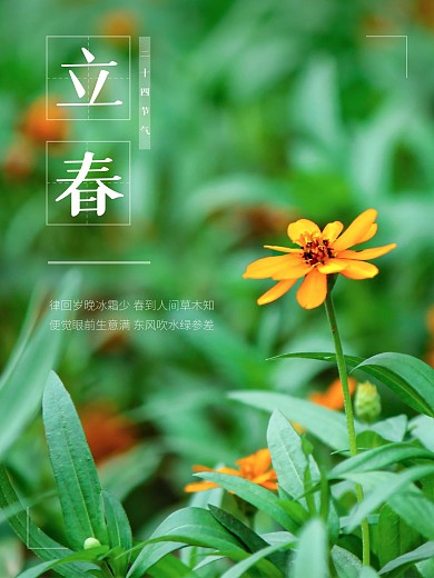 立春二十四节气传统植物绿色简约海报