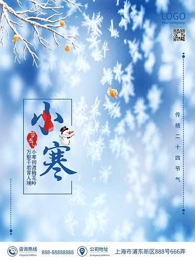 二十四节气冬季小寒节气海报雪花冰霜