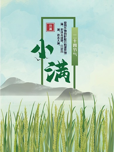 小满节日节气海报