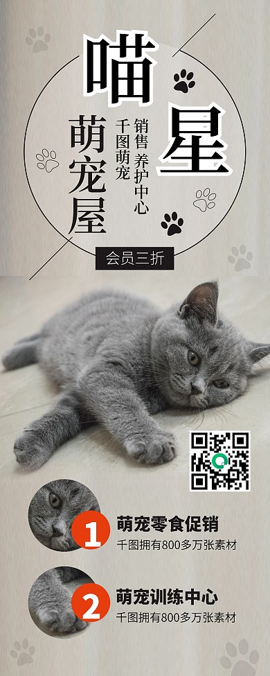 时尚简约幼猫咪宠物店宣传易拉宝X展架