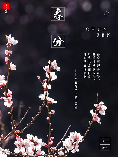 春分海报二十四节气春季大气海报