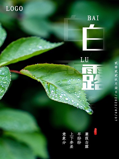 绿叶简约露珠白露节气海报