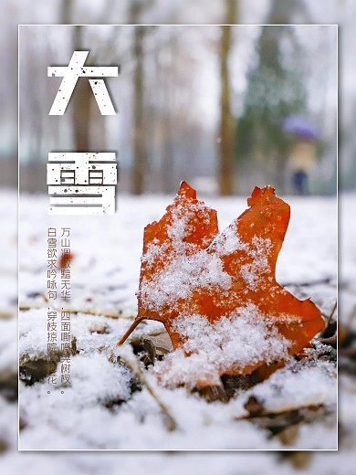 大雪传统节日二十四节气海报冬天冬季
