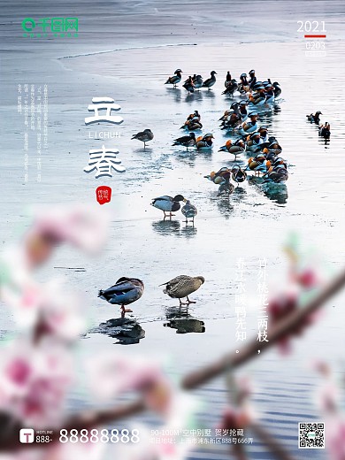 立春春天降水鸭子桃花春季摄影海报