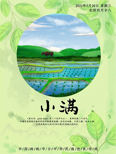 2020年二十四节气之小满插画海报