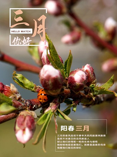 二月再见三月你好