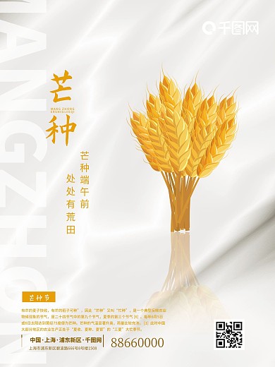中国二十四节气简洁芒种小满金色小麦海报
