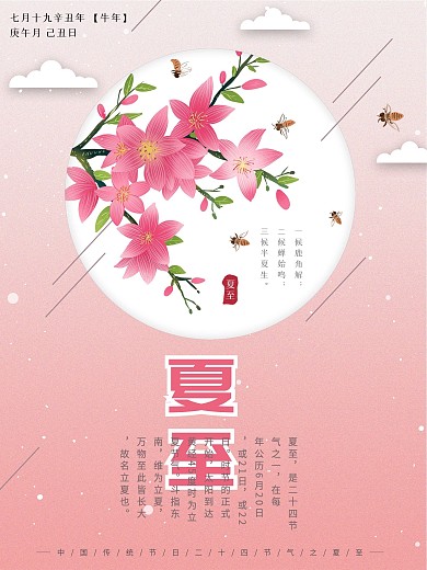 粉色简约清新夏至节气宣传海报
