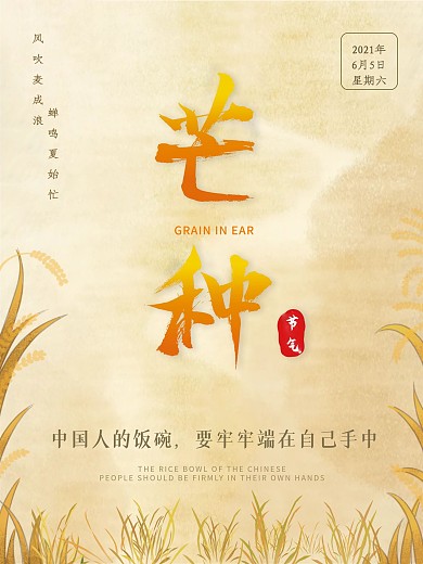 中国传统节气芒种海报