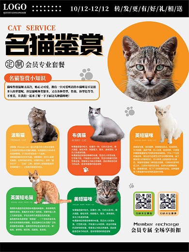 名猫鉴赏海报呀五