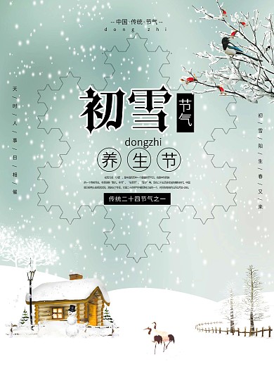 小清新初雪节气宣传海报