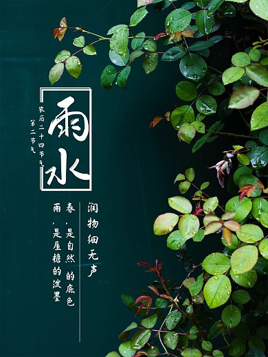 海报二十四节气雨水海报