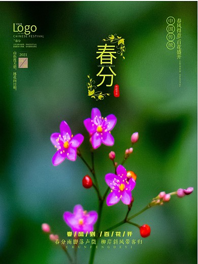 紫色花朵简约春分