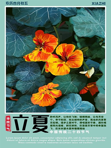 传统节气立夏花朵荷叶淡绿色小清新文案海报