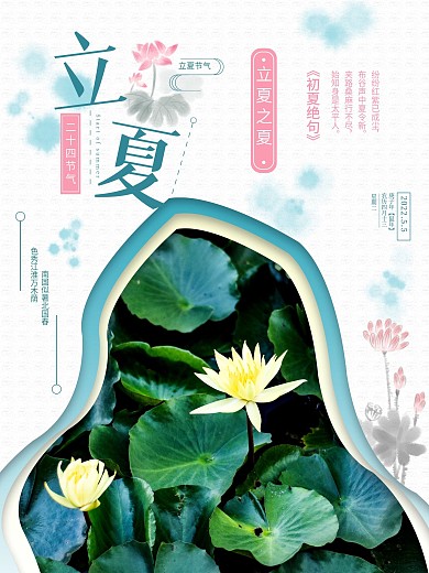 立夏节气荷花绽开海报