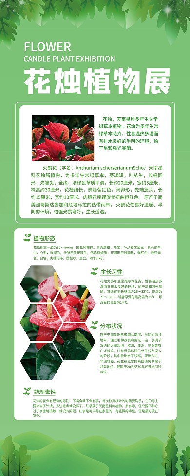 植物园展厅介绍内容展架