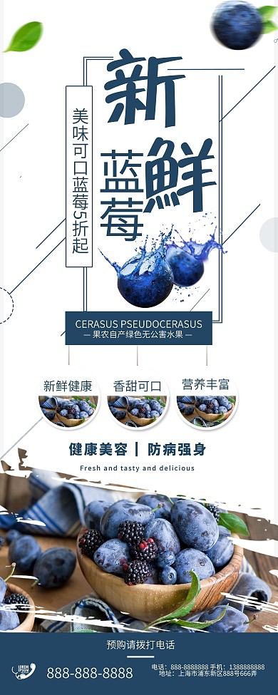 简约创意水果美味新鲜蓝莓果园促销X展架