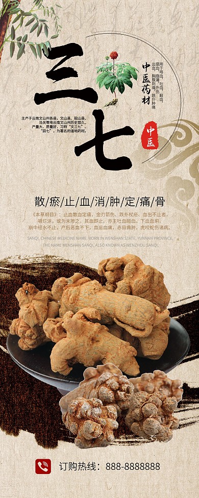 中华养生中医药材三七草药展架设计