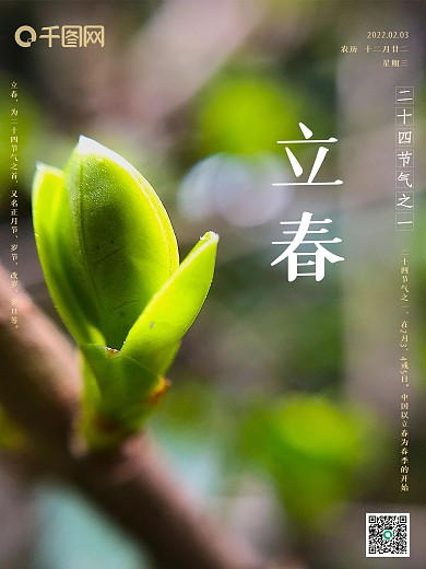 立春海报二十四节气创意节日大气春天嫩叶
