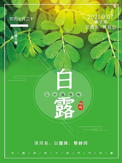 小清新白露节气海报