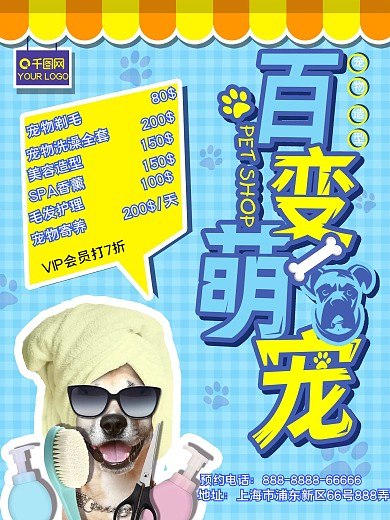 蓝色背景百变萌宠宠物造型宣传单海报模版