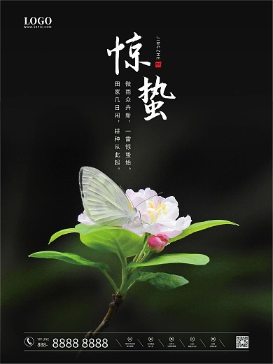 二十四节气惊蛰绿色蝴蝶花朵简约地产海报