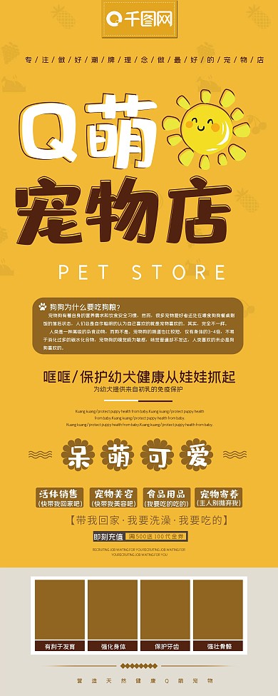 简约宠物店展架