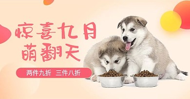 可爱风格日常需求宠物用品海报