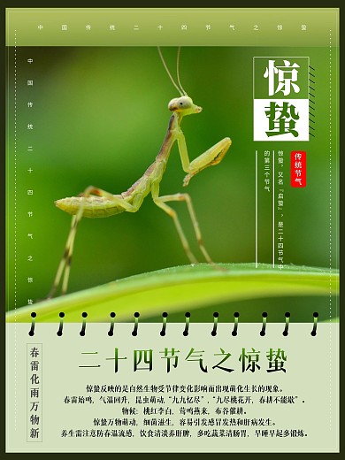 惊蛰中国传统二十四节气海报