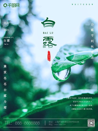 中国传统十二四节气白露宣传海报素材绿色