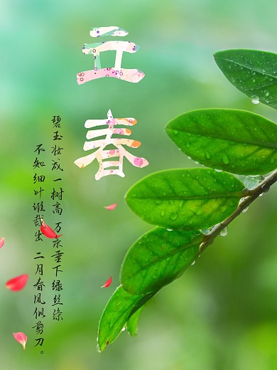 立春传统节日二十四节气海报春天