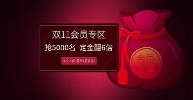 电商淘宝京东拼多多双11会员专区秋冬海报